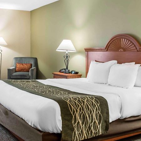 Comfort Inn Pine Grove I-81 Hershey Area Екстер'єр фото