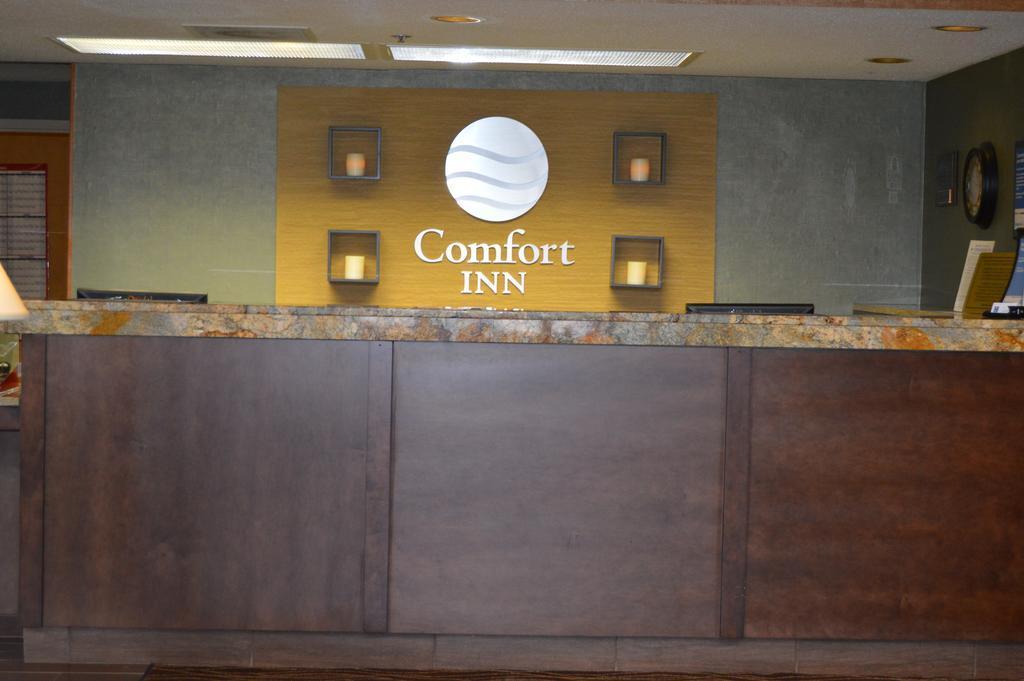 Comfort Inn Pine Grove I-81 Hershey Area Екстер'єр фото