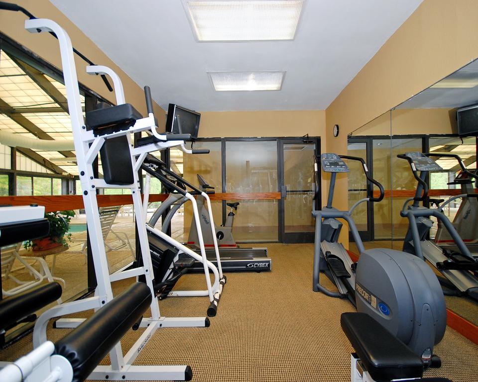Comfort Inn Pine Grove I-81 Hershey Area Екстер'єр фото