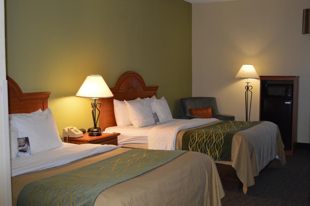 Comfort Inn Pine Grove I-81 Hershey Area Екстер'єр фото
