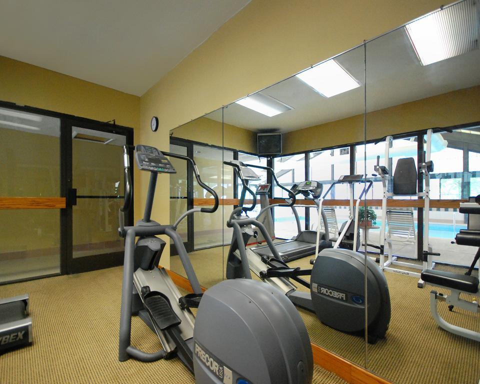 Comfort Inn Pine Grove I-81 Hershey Area Екстер'єр фото