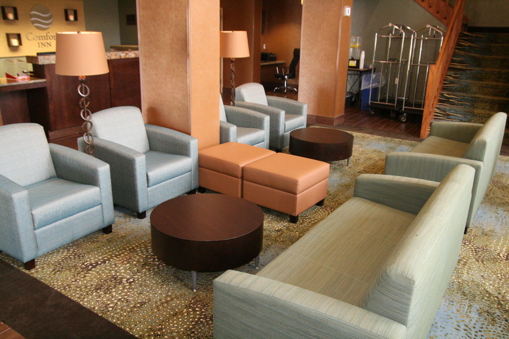 Comfort Inn Pine Grove I-81 Hershey Area Екстер'єр фото